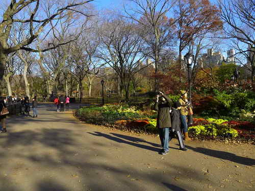 NYC_2012-11-22 13-52-00_P1070547